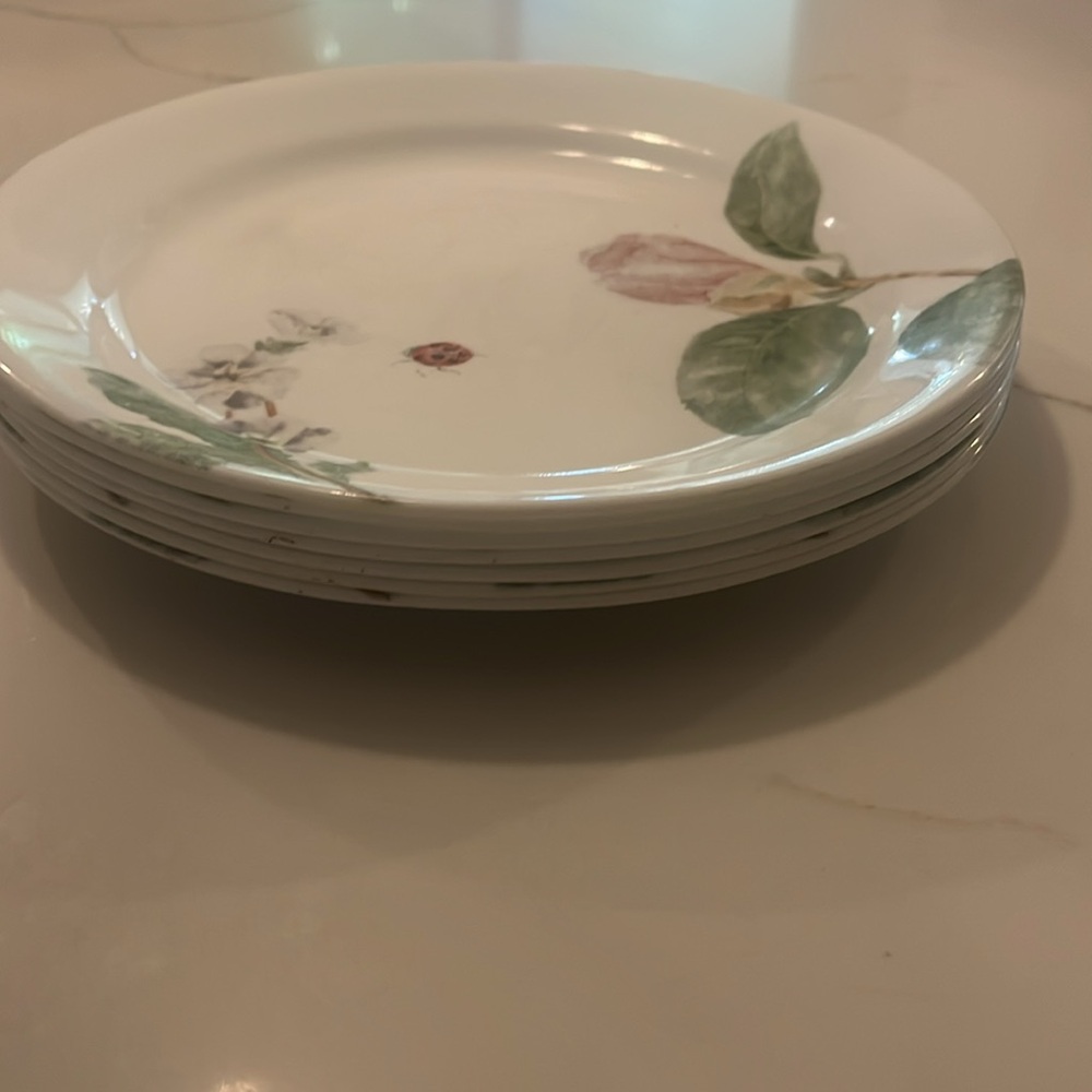 Corelle Floral & Lady Bug Patterned Dinner Plates 9" Set of 7 plates - Picture 5 of 5
